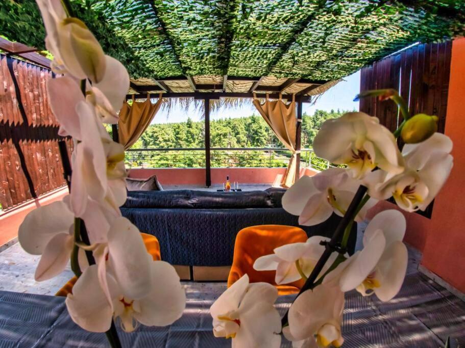 Deluxe Sani Relax Villa Eksteriør bilde